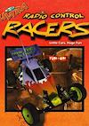 Cover image for the game 3-D Ultra Radio Control Racers
