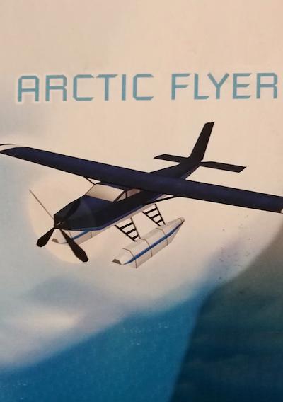 Cover image for the game Arctic Flyer