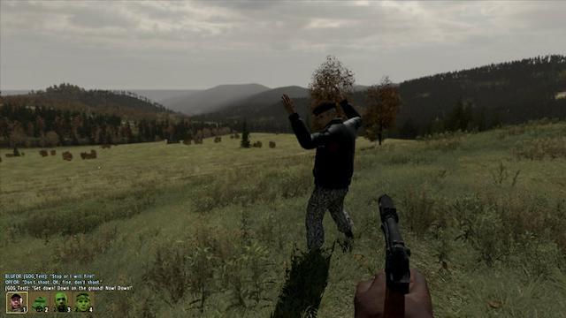 Image for the game Arma 2: Combined Operations