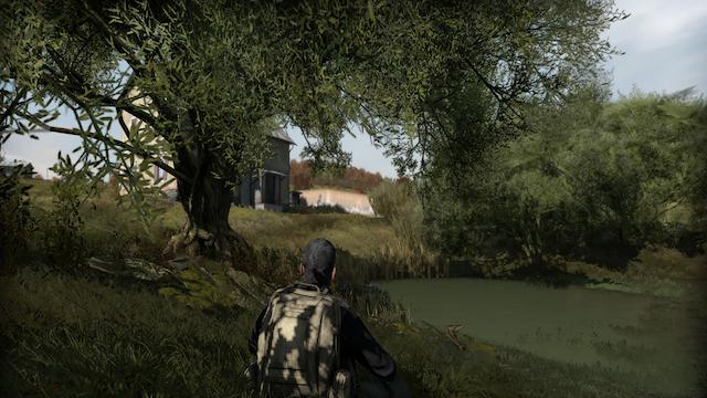 Image for the game Arma II: DayZ