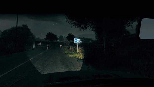 Image for the game Arma II: DayZ