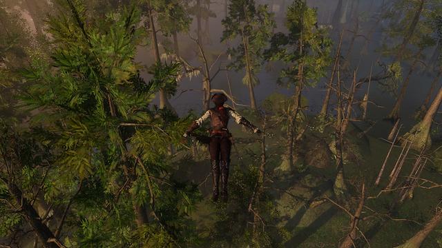 Image for the game Assassin's Creed III: Liberation