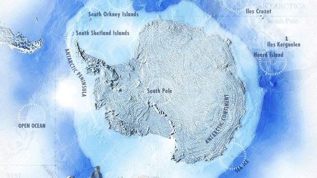 Image for the game Attenborough's Antarctic: An Exploration of Life in the Freezer