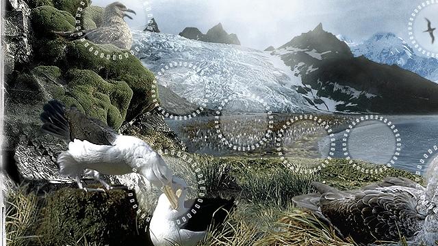 Image for the game Attenborough's Antarctic: An Exploration of Life in the Freezer