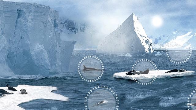 Image for the game Attenborough's Antarctic: An Exploration of Life in the Freezer