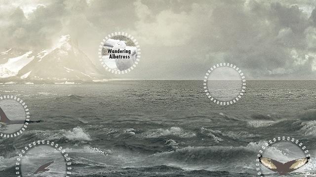 Image for the game Attenborough's Antarctic: An Exploration of Life in the Freezer