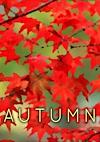 Cover image for the game Autumn
