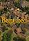 Cover image for the game Banished
