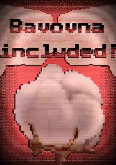 Cover image for the game Bavovna included!