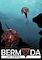 Cover image for the game Bermuda: Lost Survival
