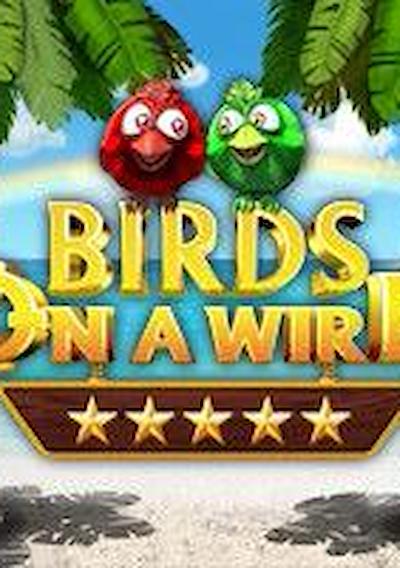 Cover image for the game Birds On A Wire