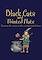 Cover image for the game Black Cats and Pointed Hats