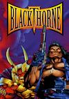 Cover image for the game Blackthorne