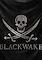 Cover image for the game Blackwake