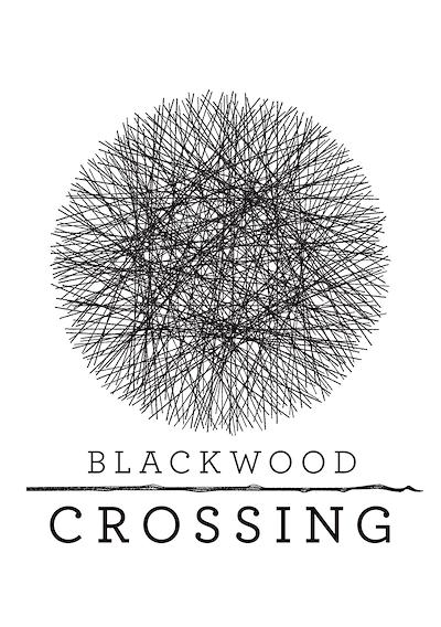 Cover image for the game Blackwood Crossing