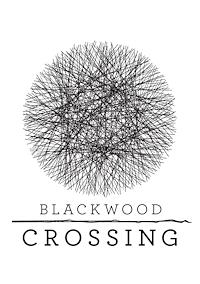 Cover image for the game Blackwood Crossing