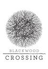 Cover image for the game Blackwood Crossing