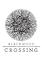 Cover image for the game Blackwood Crossing