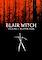 Cover image for the game Blair Witch Volume 1: Rustin Parr
