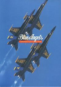 Cover image for the game Blue Angels: Formation Flight Simulation