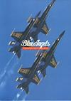 Cover image for the game Blue Angels: Formation Flight Simulation