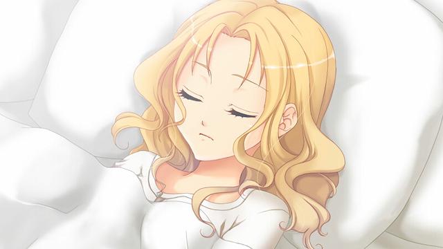 Image for the game Blumen Kranz