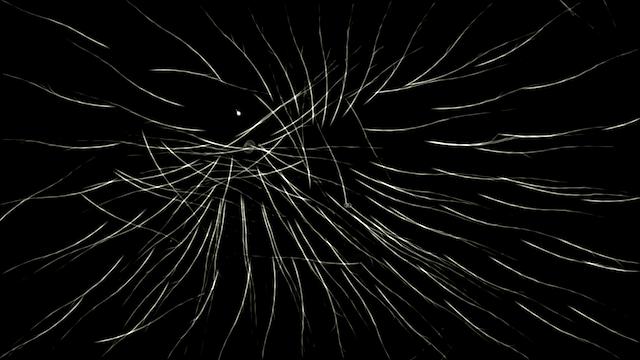 Image for the game Borealis