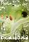 Cover image for the game Botanicula