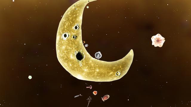 Image for the game Botanicula