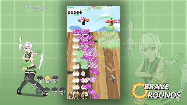 Image for the game Brave Rounds