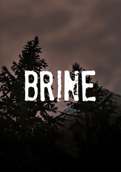 Cover image for the game Brine