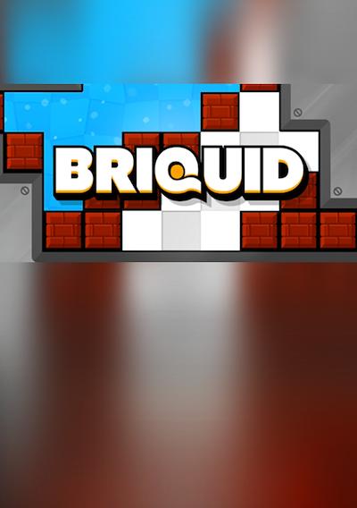 Cover image for the game Briquid