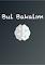 Cover image for the game Bul Bakalım