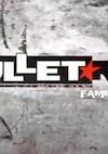 Cover image for the game Bullet Run