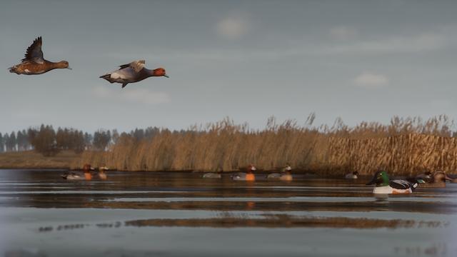 Image for the game Bult: Hunting Simulator