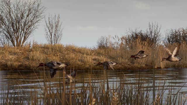 Image for the game Bult: Hunting Simulator
