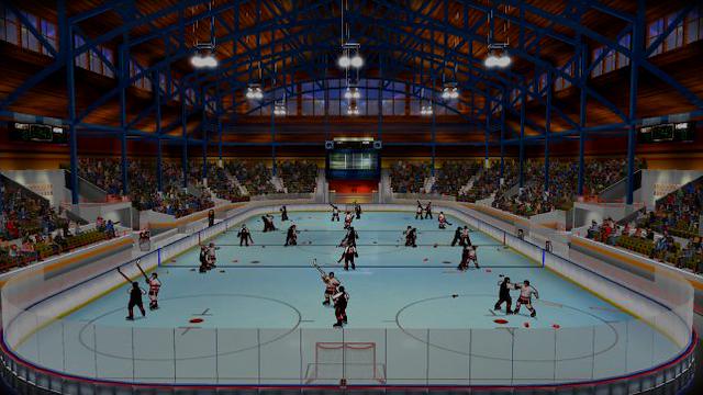 Image for the game Bush Hockey League