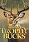 Cover image for the game Cabela's Trophy Bucks
