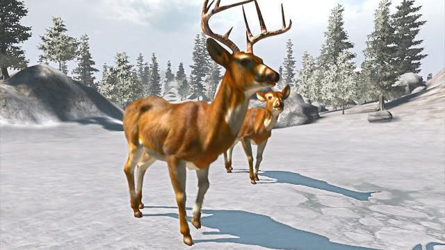 Image for the game Cabela's Trophy Bucks