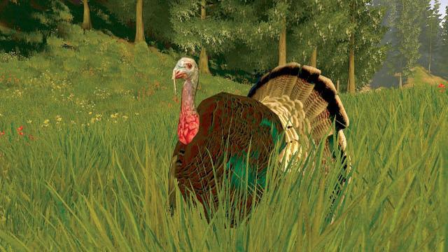 Image for the game Cabela's Trophy Bucks