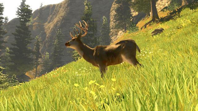 Image for the game Cabela's Trophy Bucks