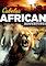 Cover image for the game Cabela's African Adventures