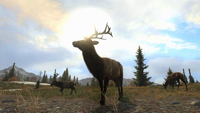 Image for the game Cabela's Big Game Hunter: Pro Hunts