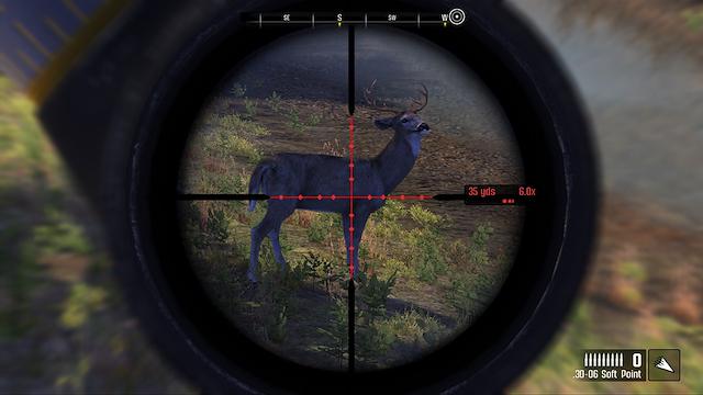 Image for the game Cabela's Big Game Hunter: Pro Hunts