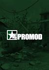 Cover image for the game Call of Duty 4: Promod