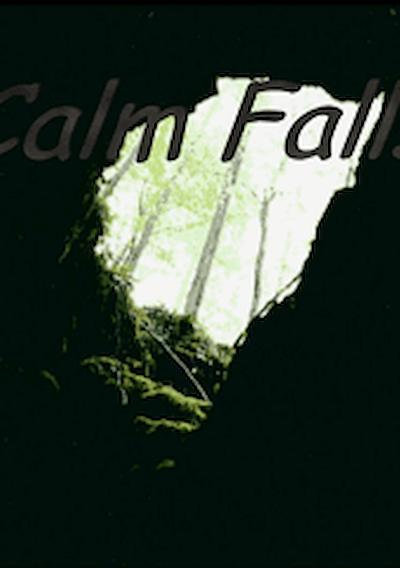 Cover image for the game Calm Falls