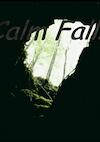 Cover image for the game Calm Falls