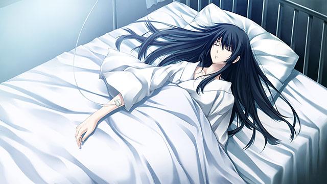 Image for the game Cartagra: Tsuki Kurui no Yamai - Rebirth FHD Size Edition