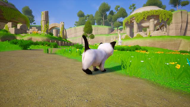 Image for the game Cat Go! Ultimate Challenge