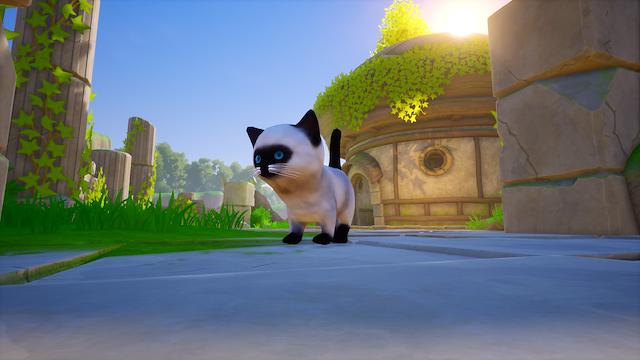 Image for the game Cat Go! Ultimate Challenge